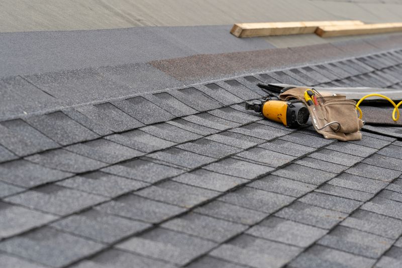 Asphalt Shingles Installation in East Palatka, FL