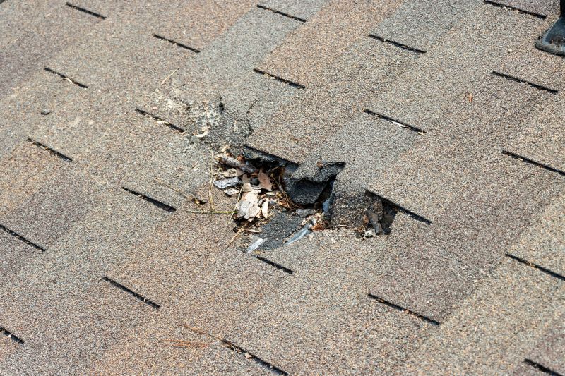 Leaky Roof Replacement in Palatka, FL